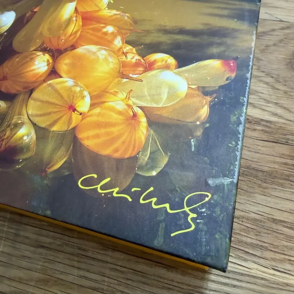Chihuly Art Glass Journal Lined Paper Wire Bound Portland Press
